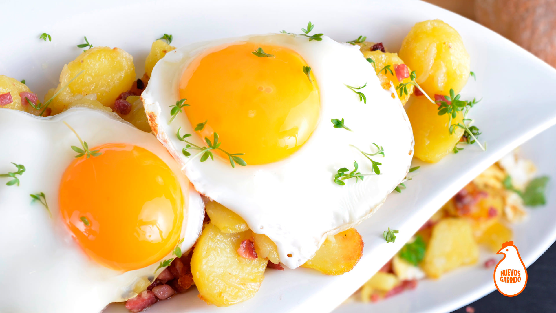 huevos-garrido-spot-corporativo - 